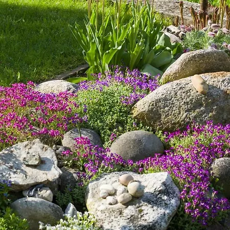 Maximilian Hotel Mayrhofen