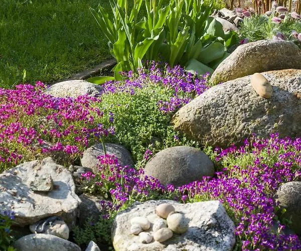 Maximilian Hotel Mayrhofen